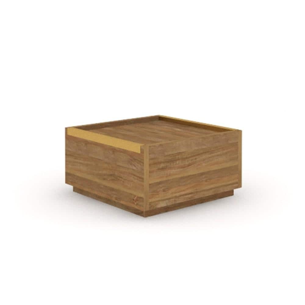 Sindoori Mango Modern Square Coffee Table with Storage