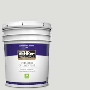 5 gal. #MQ3-55 White Lie Ceiling Flat Interior Paint