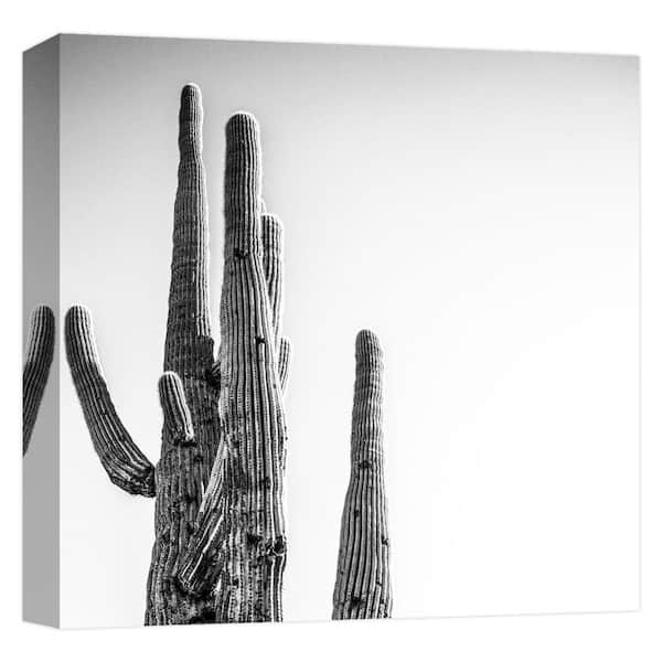 PTM Images ''TALL AND LANCKY1'' Canvas Abstract Wall Art 15 in. x 15 in.