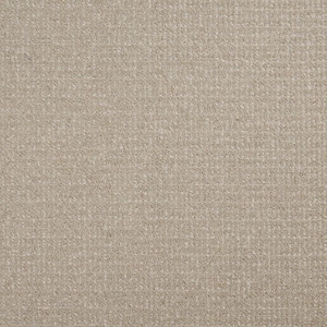 6 in. x 6 in. Loop Carpet Sample - Havasu - Color Pasture