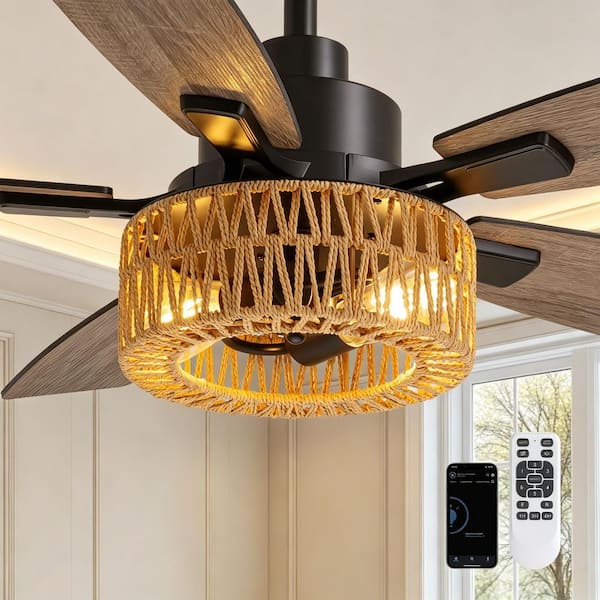 Ecogleam 46 in. Indoor Boho Caged Black Standard Ceiling Fans with