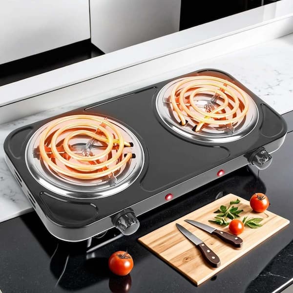 Lynzavix 2-Burner 6 in. Black Hot Plate 2000W Portable Electric
