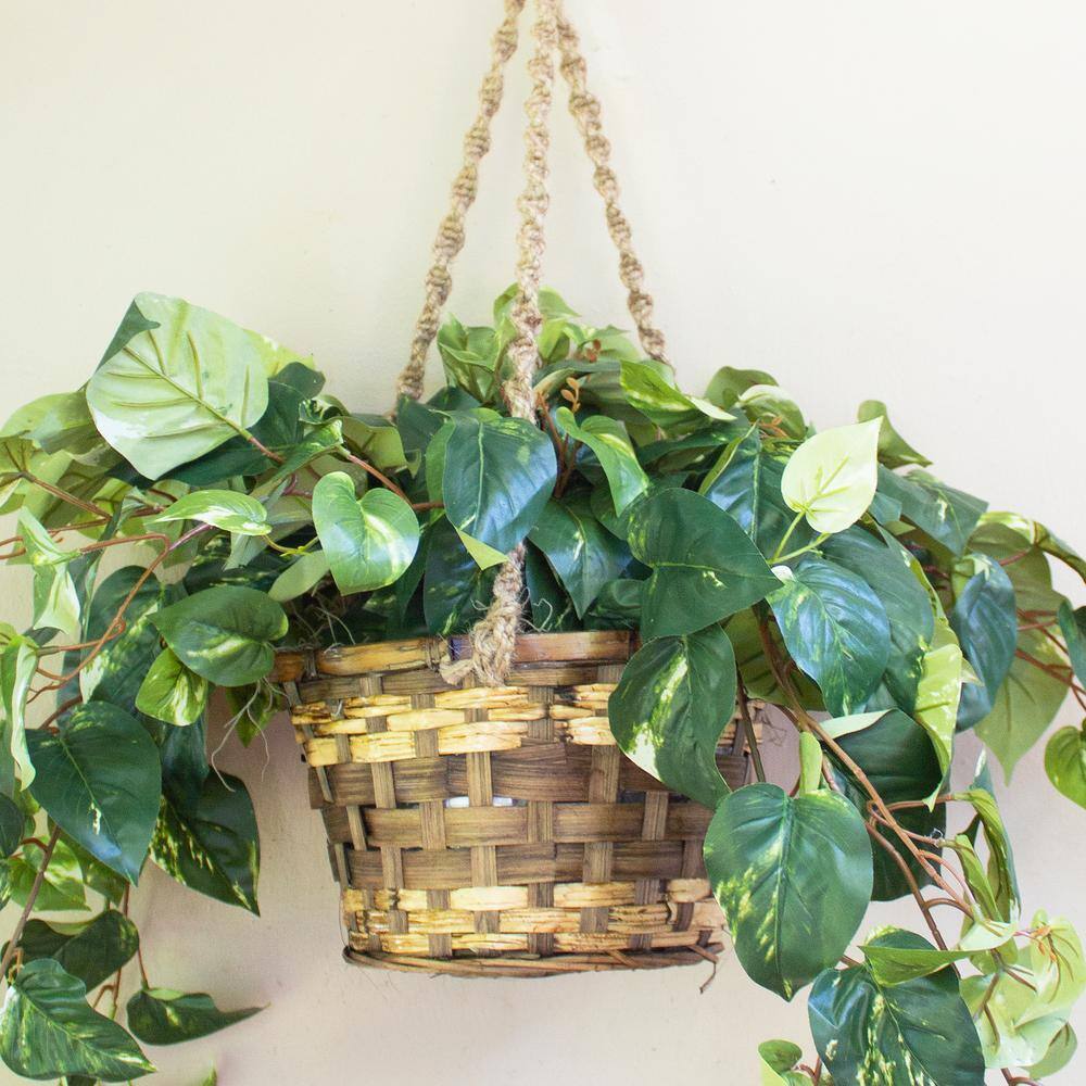 Lifelike Pothos Hanging Basket with Silk Leaves