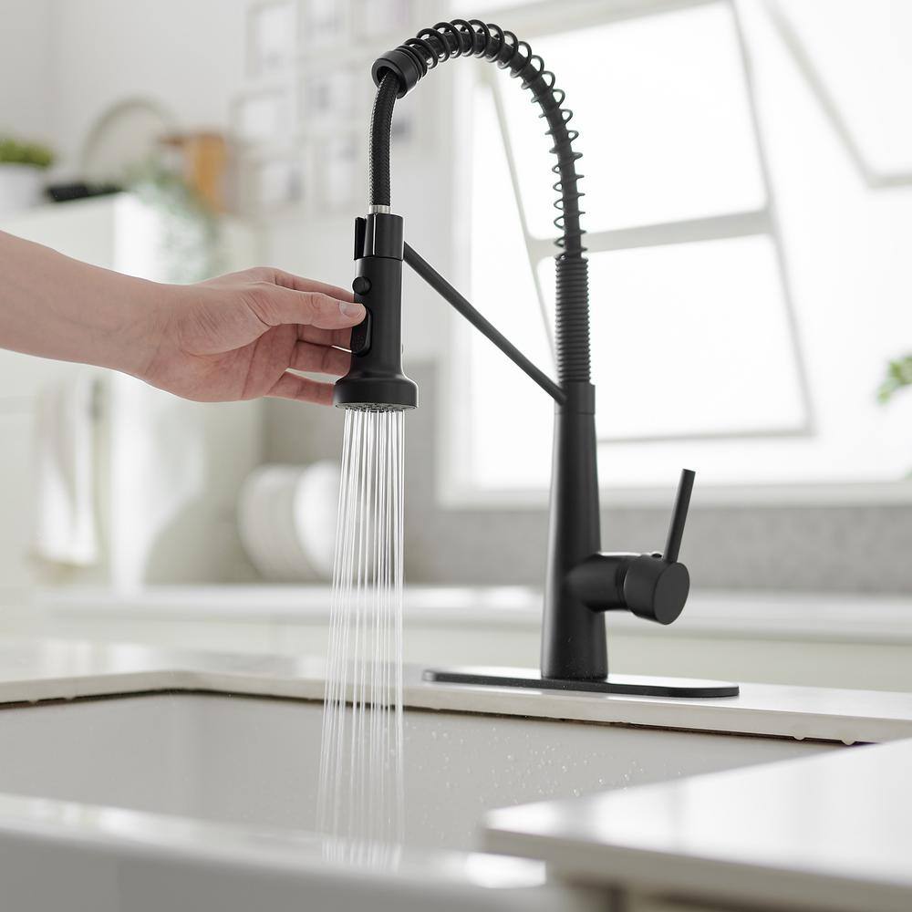 Matte Black Single-Handle Pull-Down Sprayer High Arc Kitchen Faucet