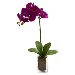 24 in. Indoor Orchid Phalaenopsis Artificial Arrangement in Vase