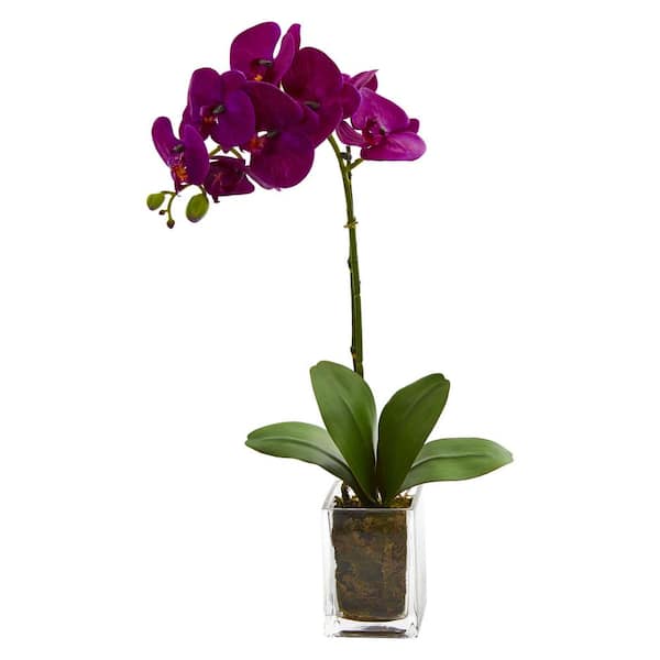 Nearly Natural 24 in. Indoor Orchid Phalaenopsis Artificial Arrangement in Vase