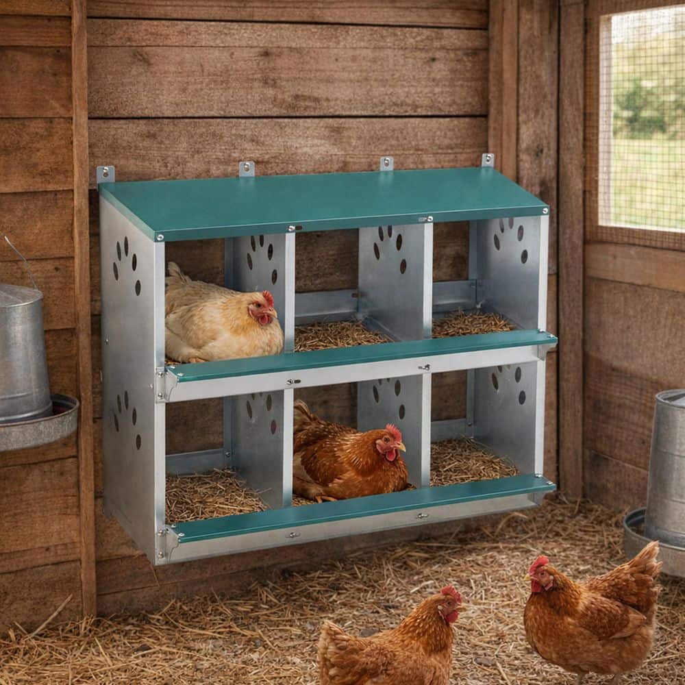 lagnus プロジェクト・ヘイル・メアリー サプライズボックス chicken-coops-zy-w1422p246452-