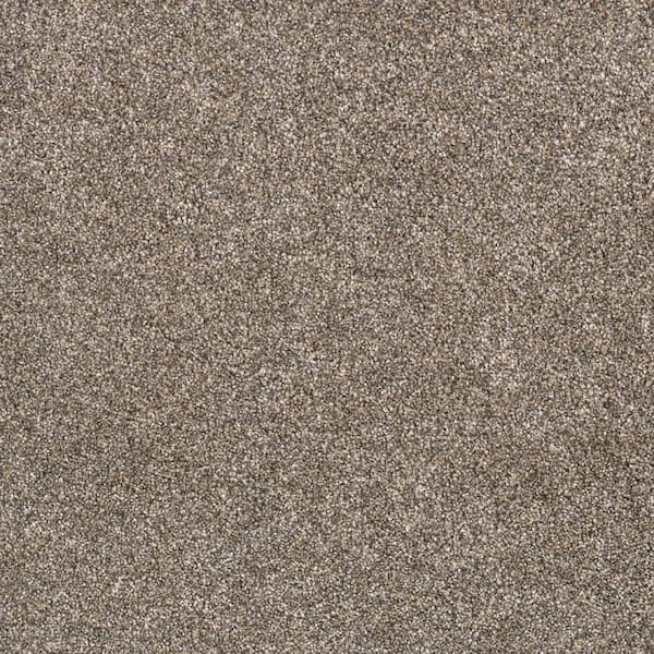 Lifeproof 8 in. x 8 in. Texture Carpet Sample - Hazelton II - Color Jazzy