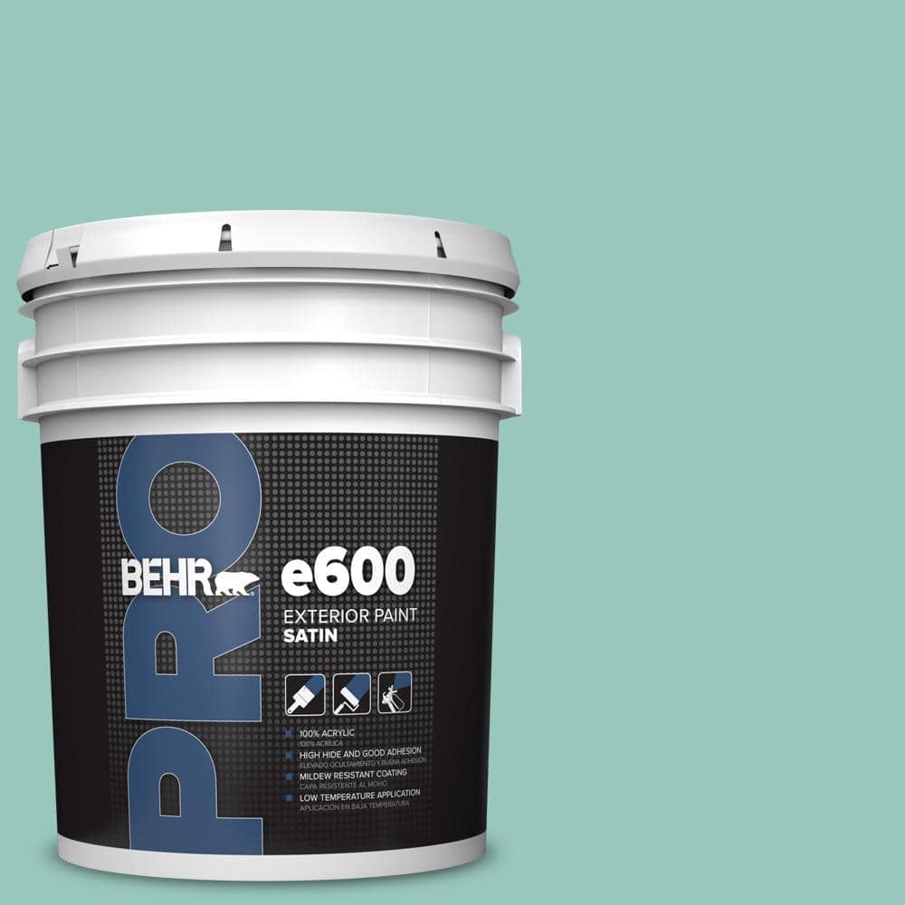 5 gal. #490D-4 Eucalyptus Leaf Satin Exterior Paint price history on PriceWatchPro