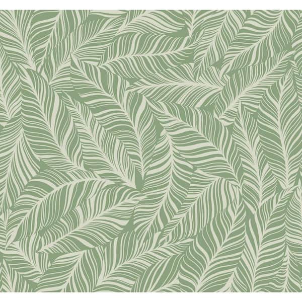 York Wallcoverings 60.75 sq. ft. Rainforest Canopy Wallpaper