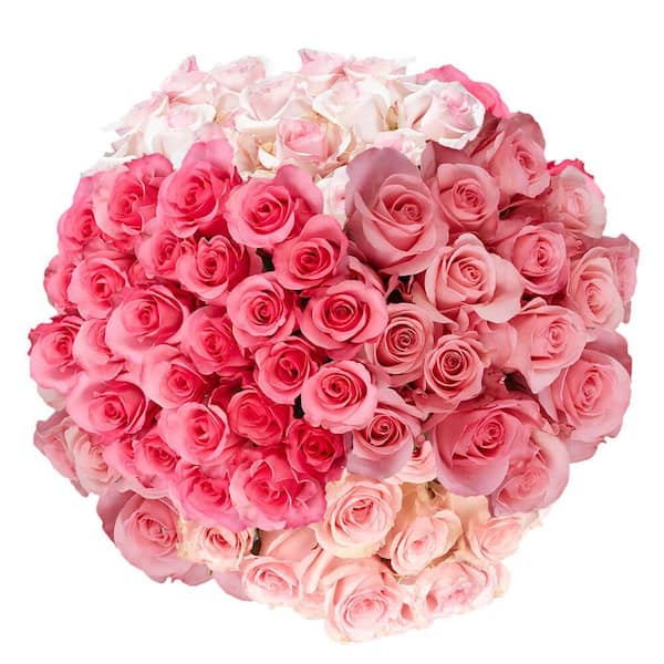 100 Stems - Fresh Cut Pink Roses