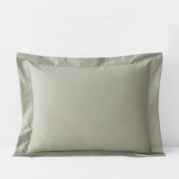 The Company Store Company Cotton Wrinkle-Free Laurel Green Sateen Standard Sham