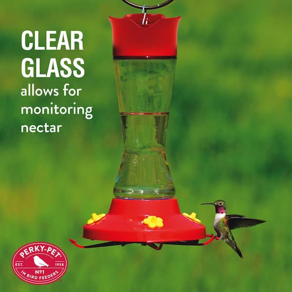 with 5 Feeding Ports 16oz Capacity Glass Hummingbird Feeder 