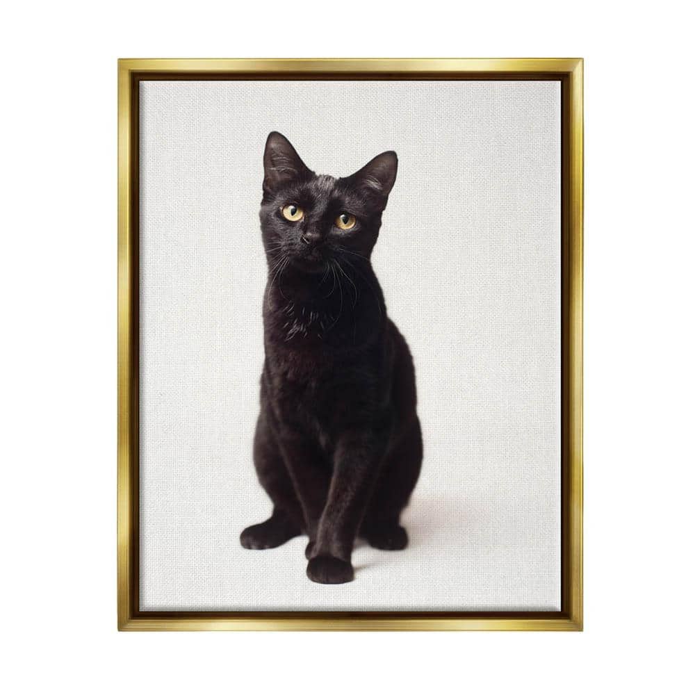 The Stupell Home Decor Collection Cute Black Cat Expressive Eyes