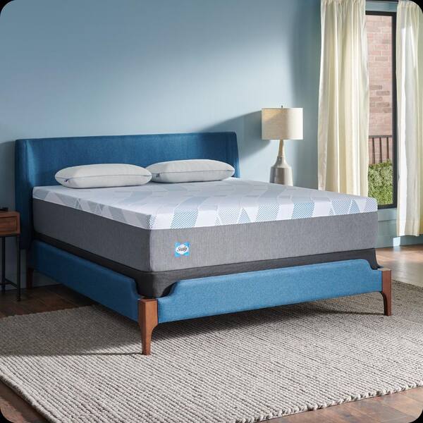 Sealy Dreamlife Twin XL Medium Hybrid 12 in. Bed-in-a-Box Mattress