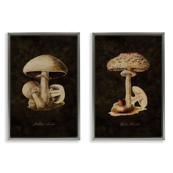 Vintage Mushrooms by Tina Higgins Designs, Inc. 2-Pieces Gray Floater Frame Nature Graphic Art Print 25 in. x 17 in.