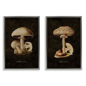 Vintage Mushrooms by Tina Higgins Designs, Inc. 2-Pieces Gray Floater Frame Nature Graphic Art Print 25 in. x 17 in.
