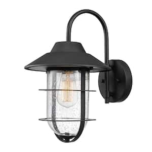 Matthews Matte Black Outdoor Indoor Wall Lantern Sconce with Seeded Glass Shade