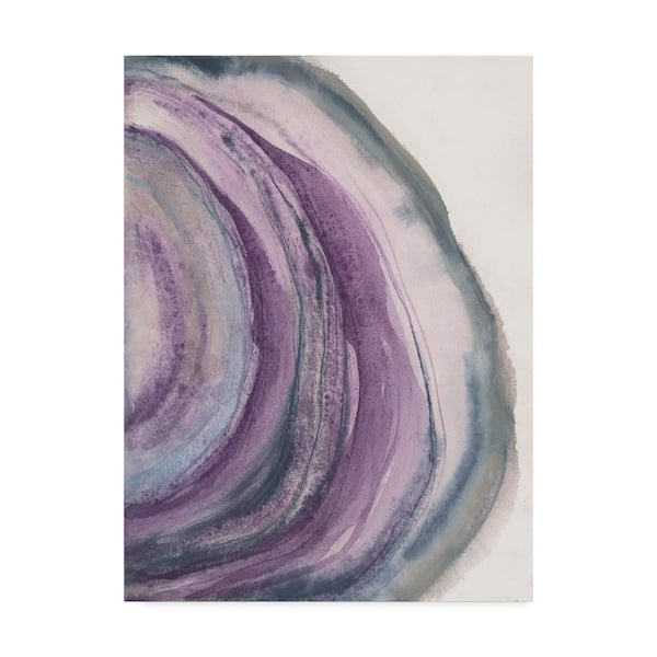 Trademark Fine Art Chris Paschke Watercolor Geode Canvas Unframed Photography Wall Art 18 in. x 24 in