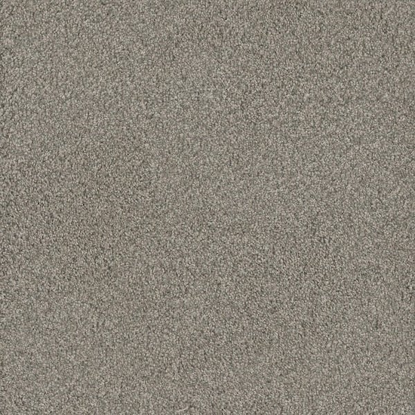Meringue II-Dollop Gray-54 oz. SD Polyester Texture Installed Carpet