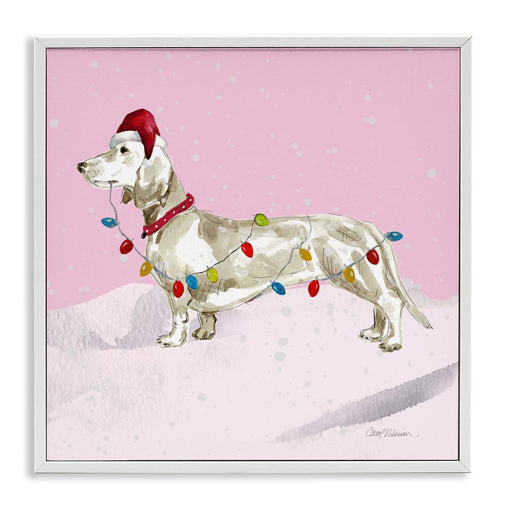 Christmas Lights Dachshund by Carol Robinson 1-Piece White Framed Giclee Animal Art Print 24 in. x 24 in. price history on PriceWatchPro