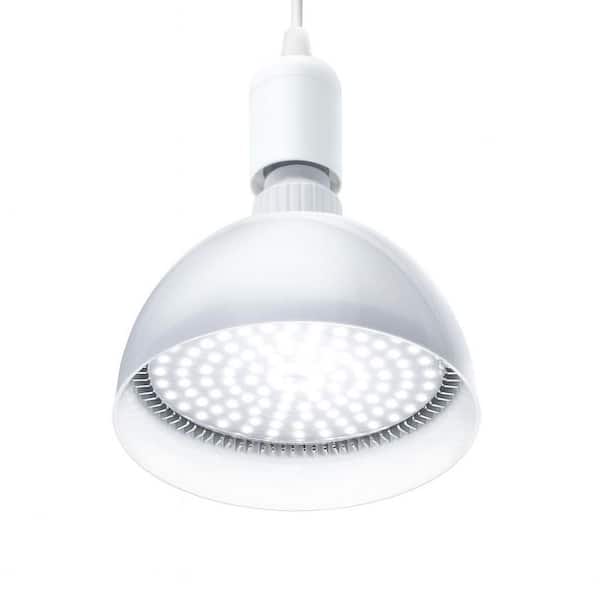 BeamBox 25W White Full Spectrum Aluminum LED Grow Light with Timer 4H/9H/14H, Hanging Pendant Lamp for Indoor Plants