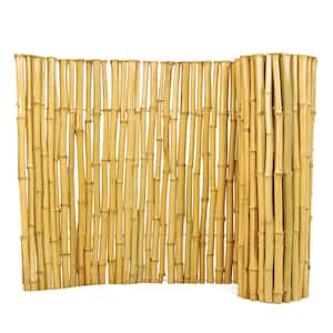 24 in. H x 96 in. L Natural Bamboo Fence