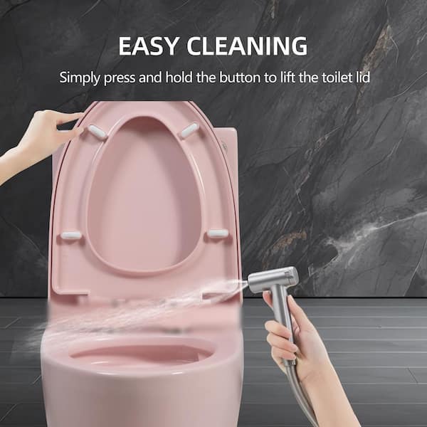 Abruzzo 15 5/8 in. 1-piece 1.1/1.6 GPF Dual Flush Elongated