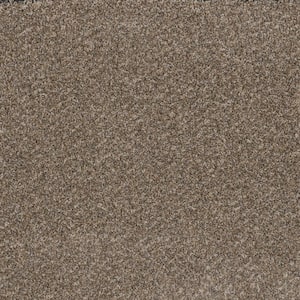 Dream Wish - Drive - Beige 32 oz. SD Polyester Texture Installed Carpet