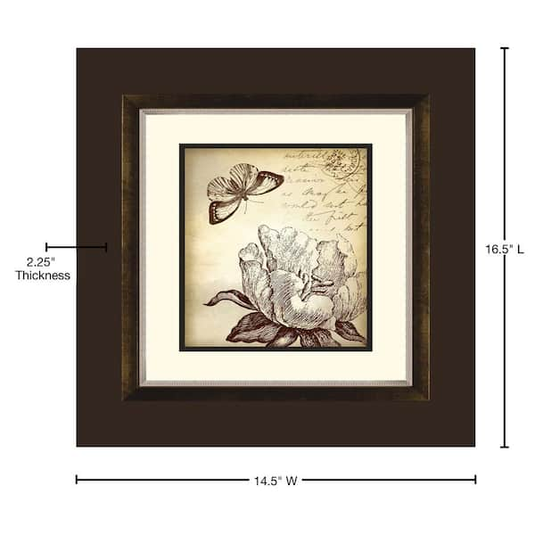 14.5 in. x 16.5 in. Botanical Butterfly A Framed Wall Art