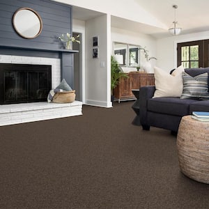Alpine - Inner Strength - Brown 17.3 oz. Polyester Texture Installed Carpet
