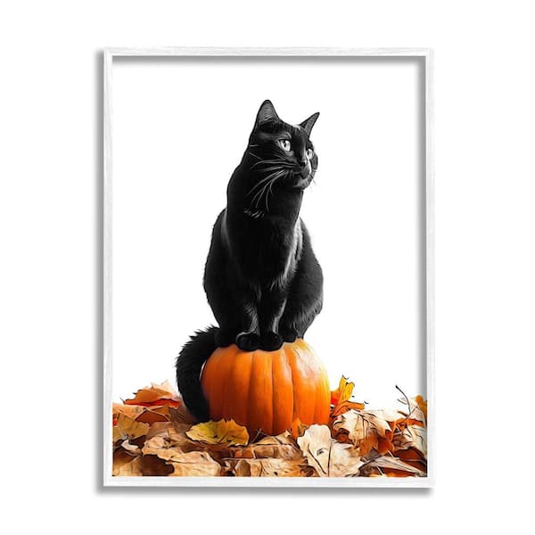 Stupell Industries Black Cat and Pumpkin by Annalisa Latella 1-Piece Framed Graphic Print Animal Poster Art Print 14 in. x 11 in.
