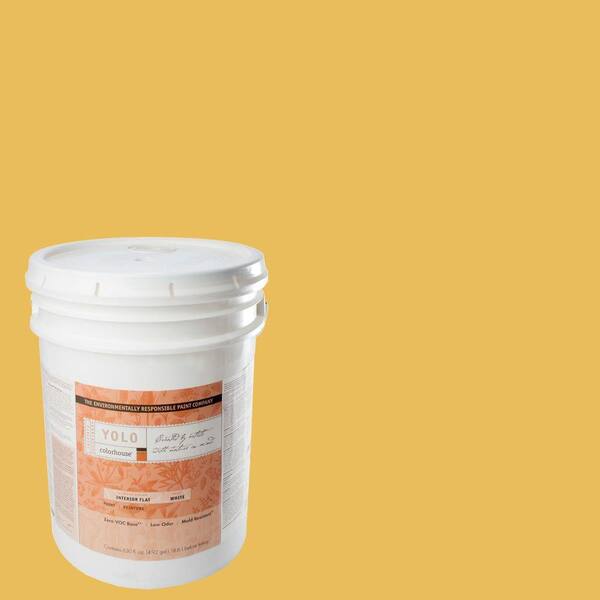 YOLO Colorhouse 5-gal. Aspire .05 Flat Interior Paint-DISCONTINUED