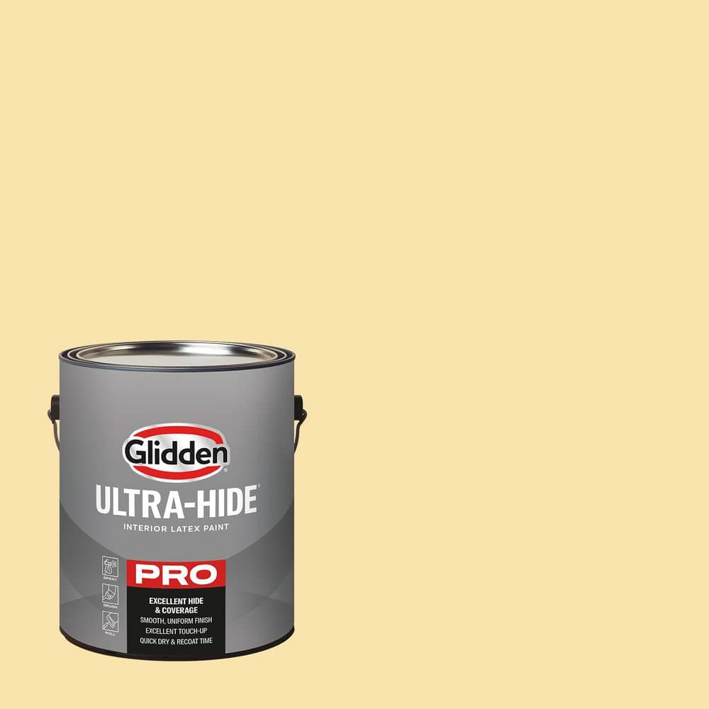 1 gal. PPG12-01 Corn Silk Eggshell Interior Paint price history on PriceWatchPro