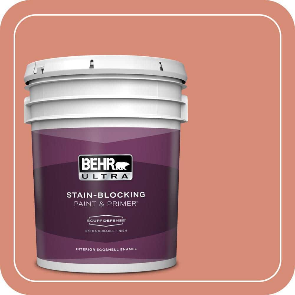 5 gal. #MQ4-32 Vintage Coral Extra Durable Eggshell Enamel Interior Paint & Primer product image for price tracking