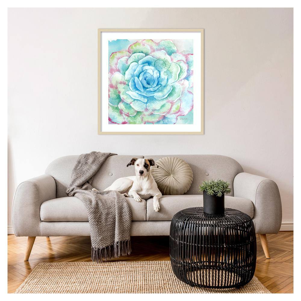 Sweet Succulents I Svelte Natural Framed Wall Art Print