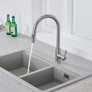 Stainless Steel Kitchen Sink Faucet with Pull Down Sprayer in Brushed Nickel (Deckplate Included)
