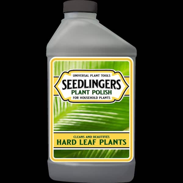 Plant Polish Quart Concentrate