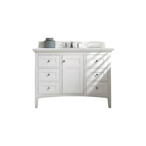 Palisades 48.0 in. W x 23.5 in. D x 35.3 in. H Bathroom Vanity in Bright White with Ethereal Noctis Quartz Top