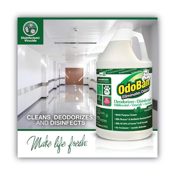 Concentrated Odor Eliminator, Eucalyptus, 1 gal Bottle, 4/Carton Concentrated Odor Eliminator, Eucalyptus, 1 gal Bottle, 4/Carton