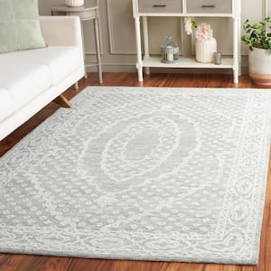 Ebony Ivory/Gray 6 ft. x 9 ft. Bordered Area Rug