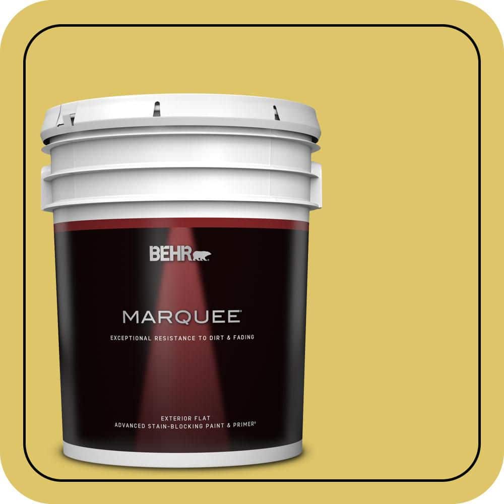 5 gal. #380D-5 California Dreaming Flat Exterior Paint & Primer product image for price tracking