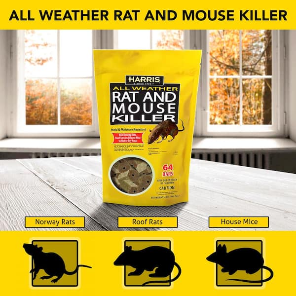 Protect Your Home: Aviro's Maximum Strength Rat & Mouse Poison (Safe & Easy  to Use) – Aviro Pest Control