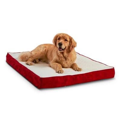 thin dog bed