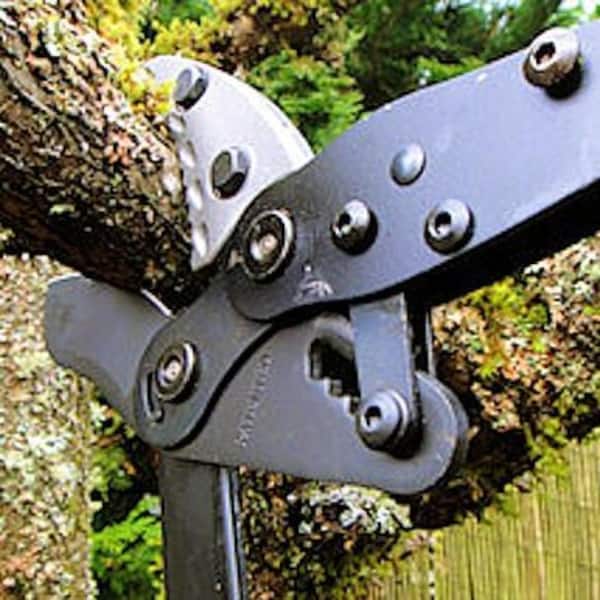 Tree Platform Small Rachet Ratchet Tree Loppers