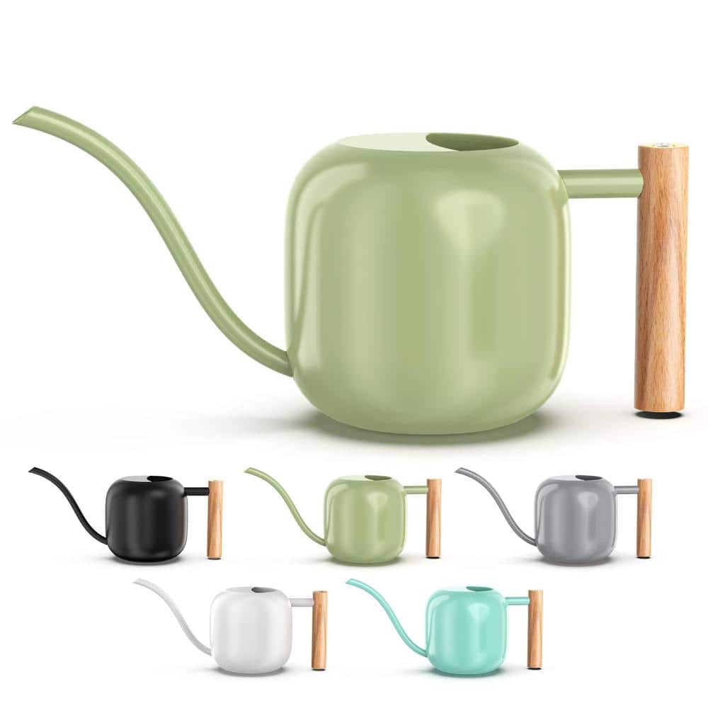 41 oz. Sage Green Stainless Steel Indoor Watering Can with Precision Long Spout and Ergonomic Wooden Handle price history on PriceWatchPro