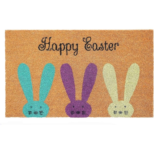 Multi-Colored 29 in. x 17 in. Coir Outdoor Door Mat