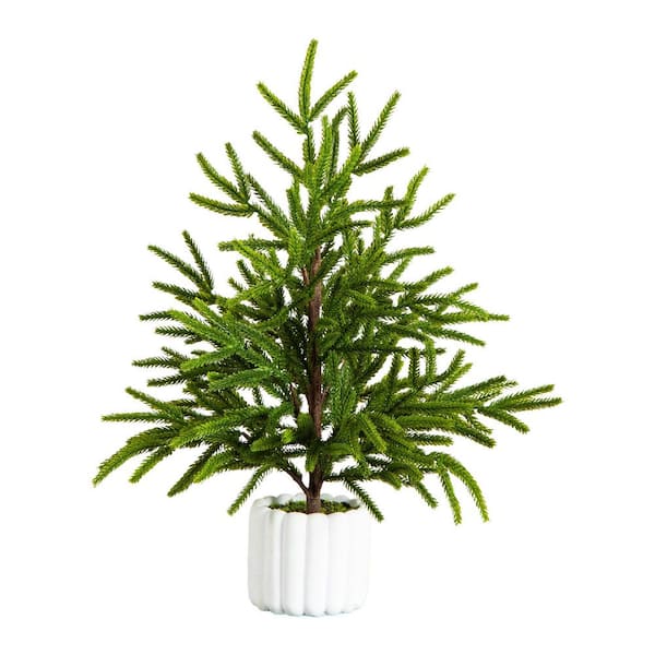 22 in. Artificial Real Touch Norfolk Island Pine in White Decorative Planter with Natural Look