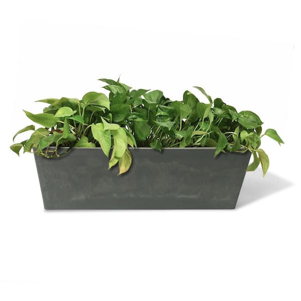 Algreen Valencia 20 in. Windowsill Light Charcoal Plastic