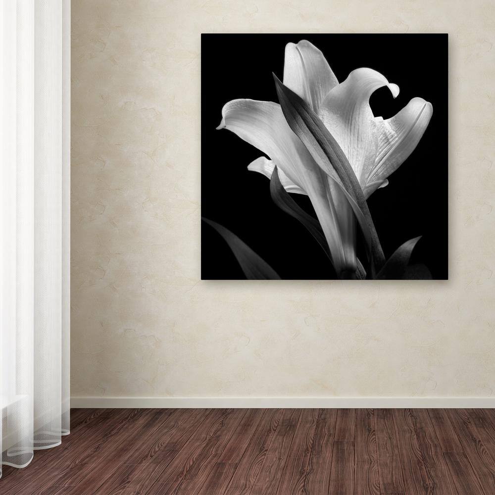 Black and White Lily Flower Canvas Wall Art